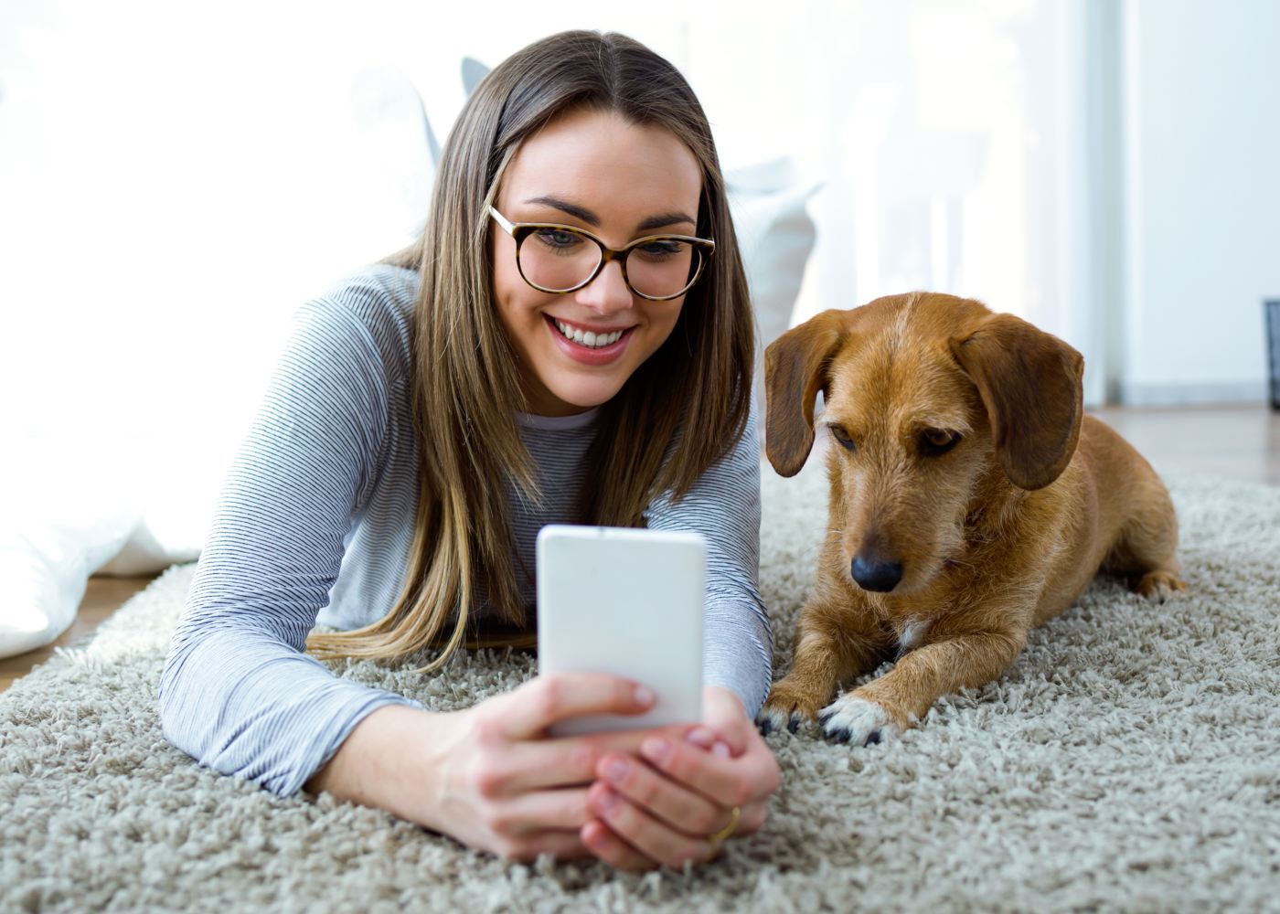 online-konsultation-hund